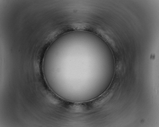 X0000101390209200807141140