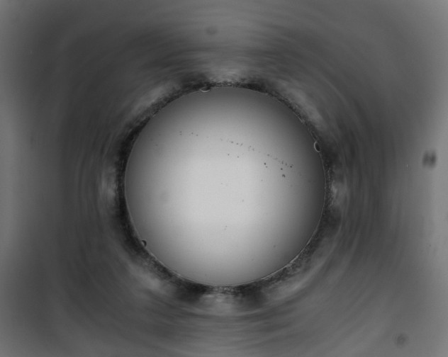 X0000101390211200807141140