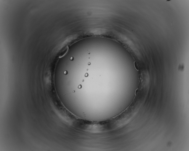 X0000101390212200807141140