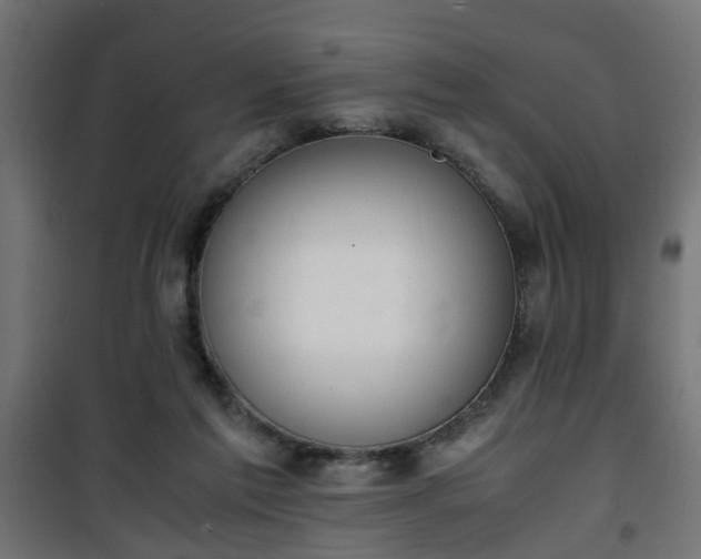 X0000101390213200807141140