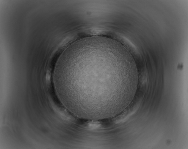 X0000101390214200807141140