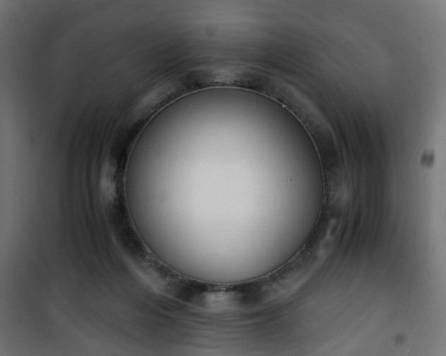 X0000101390216200807141140