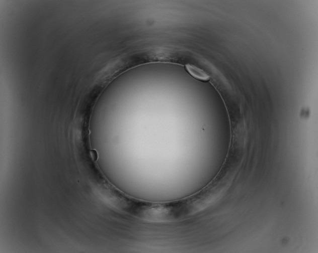 X0000101390217200807141140