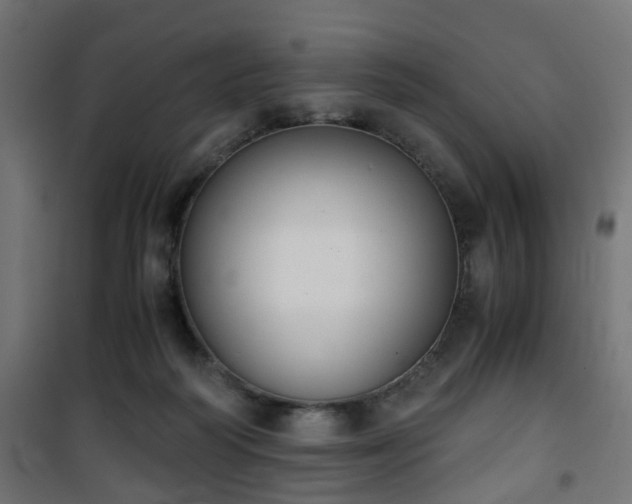 X0000101390218200807141140