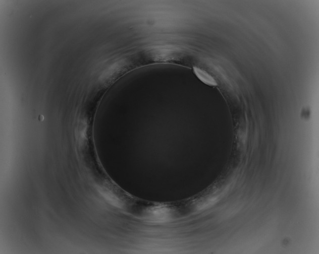 X0000101390219200807141140