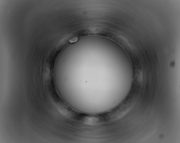 X0000101390220200807141140