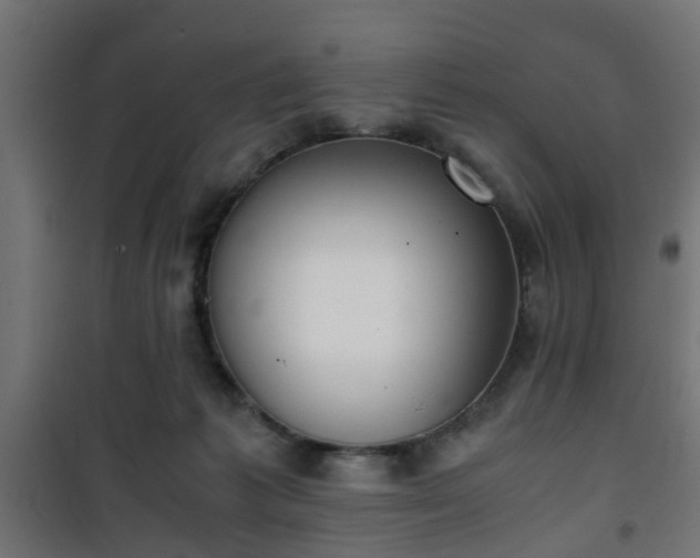 X0000101390221200807141140