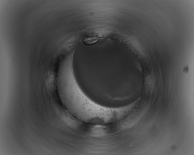 X0000101390222200807141140