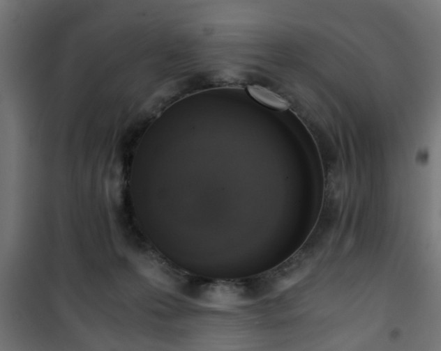 X0000101390223200807141140