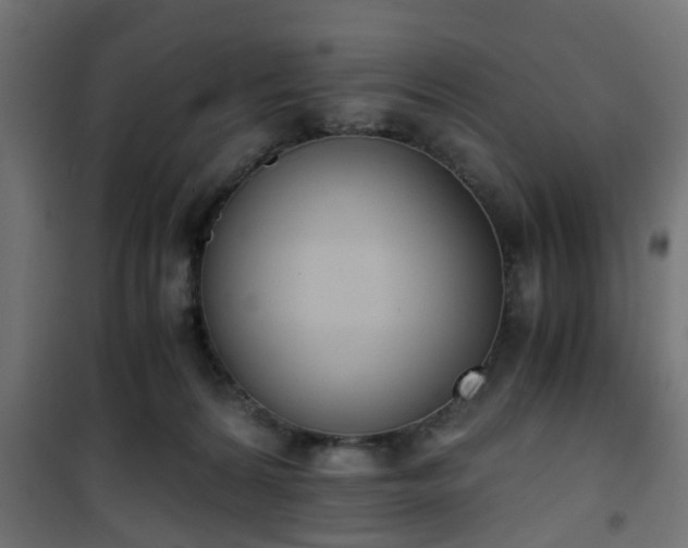 X0000101390224200807141140