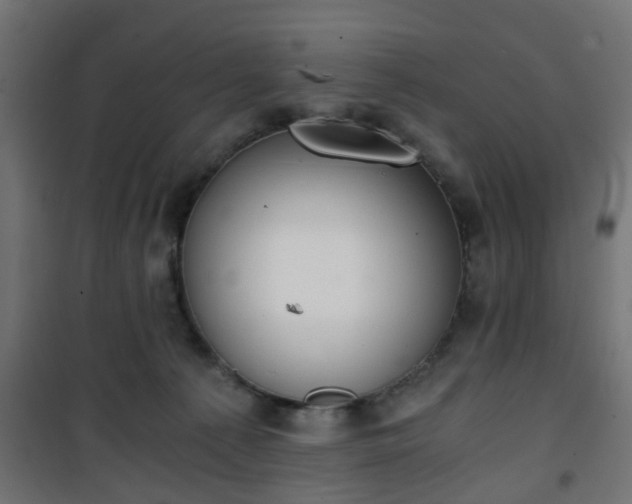 X0000101390225200807141140