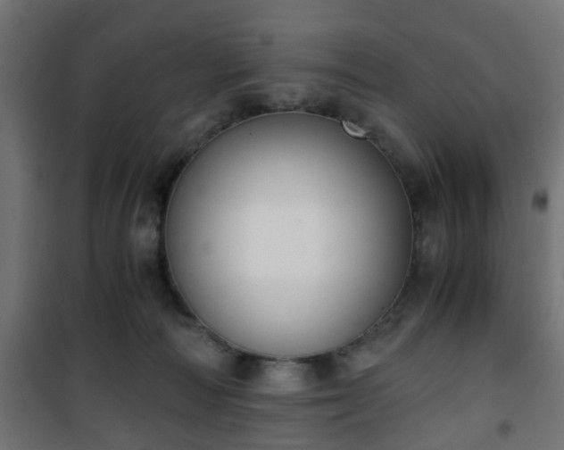 X0000101390226200807141140