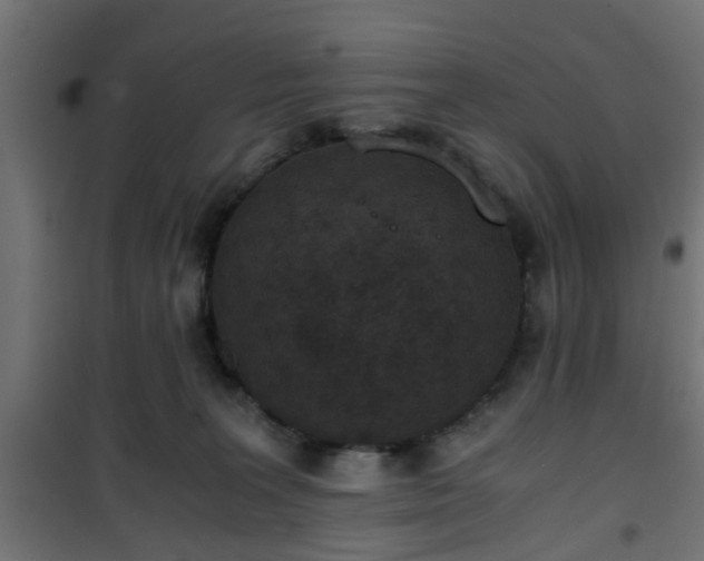 X0000101390227200807141140