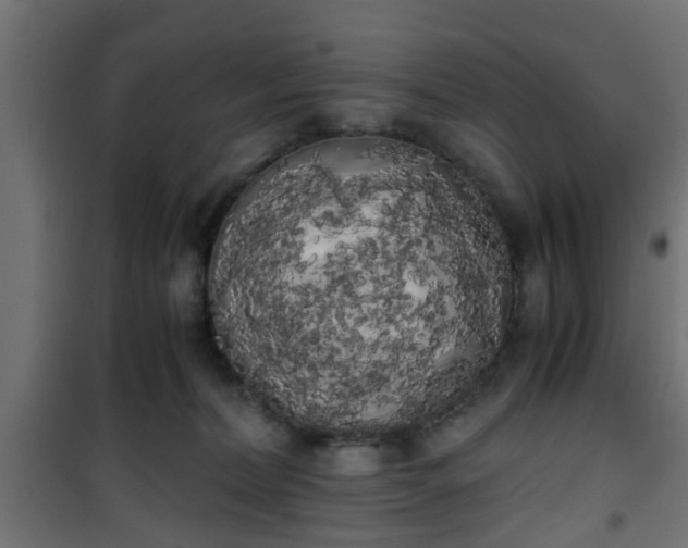 X0000101390228200807141140