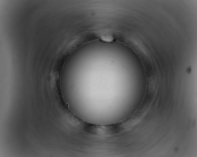 X0000101390229200807141140