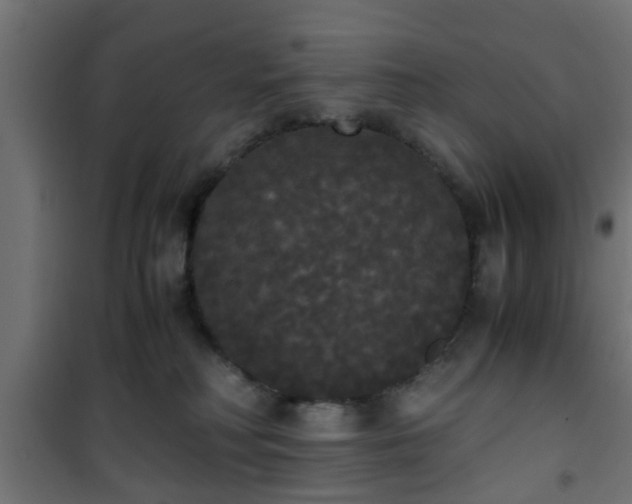 X0000101390230200807141140