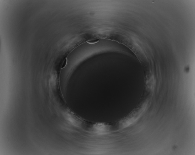 X0000101390231200807141140