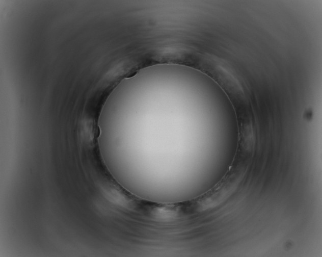 X0000101390232200807141140