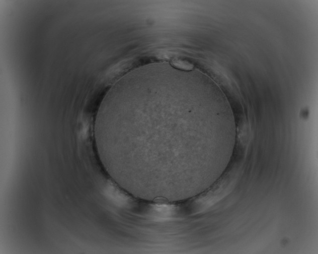 X0000101390233200807141140