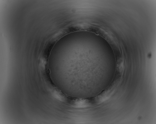 X0000101390235200807141140