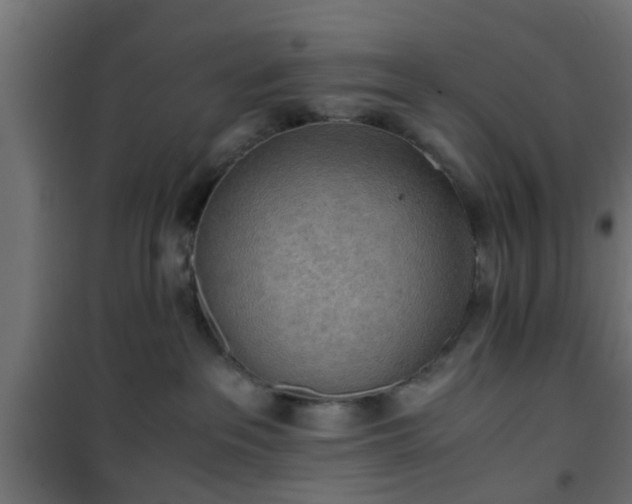 X0000101390237200807141140