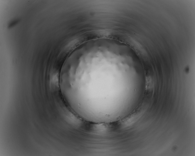 X0000101390238200807141140