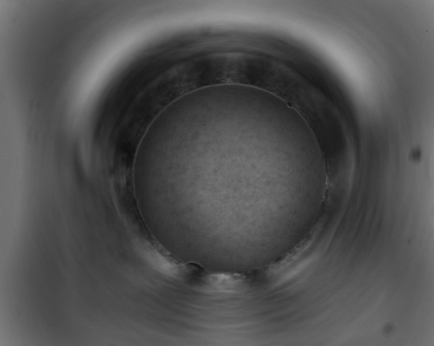 X0000101390239200807141140