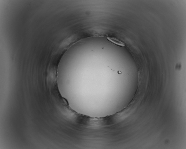 X0000101390240200807141140