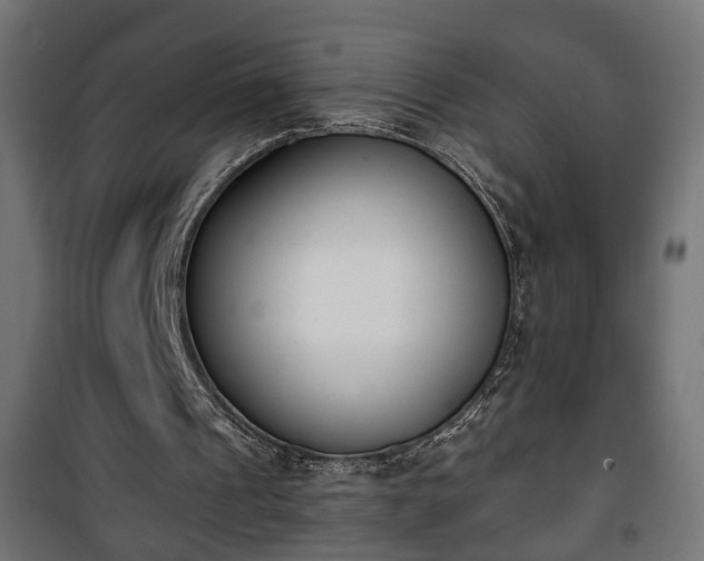 X0000101390241200807141139