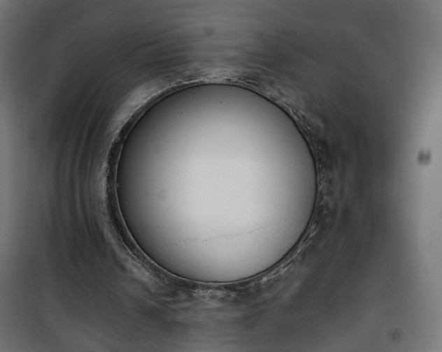 X0000101390242200807141139