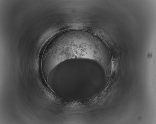 X0000101390243200807141139