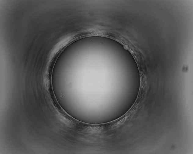 X0000101390245200807141139