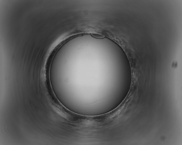 X0000101390246200807141139