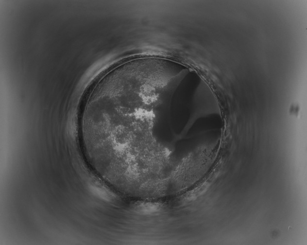 X0000101390247200807141139