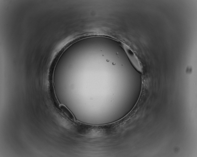 X0000101390248200807141139