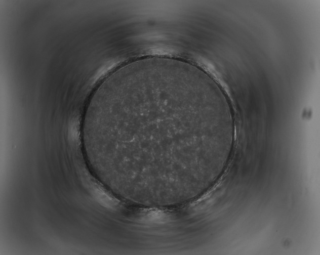 X0000101390249200807141139