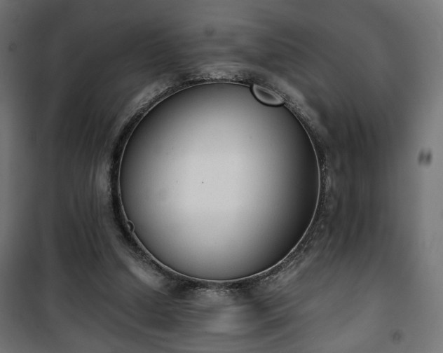 X0000101390250200807141139