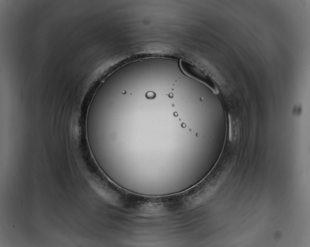 X0000101390252200807141139