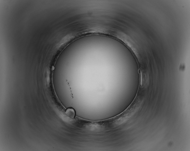 X0000101390253200807141139