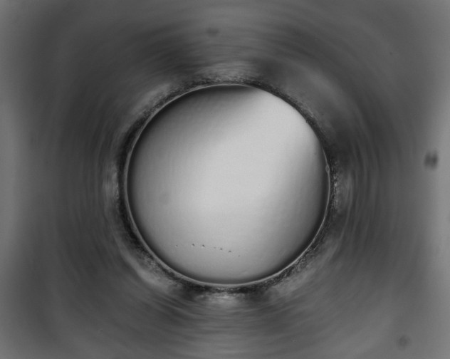 X0000101390254200807141139