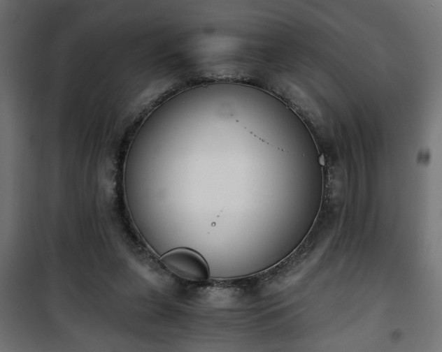 X0000101390255200807141139