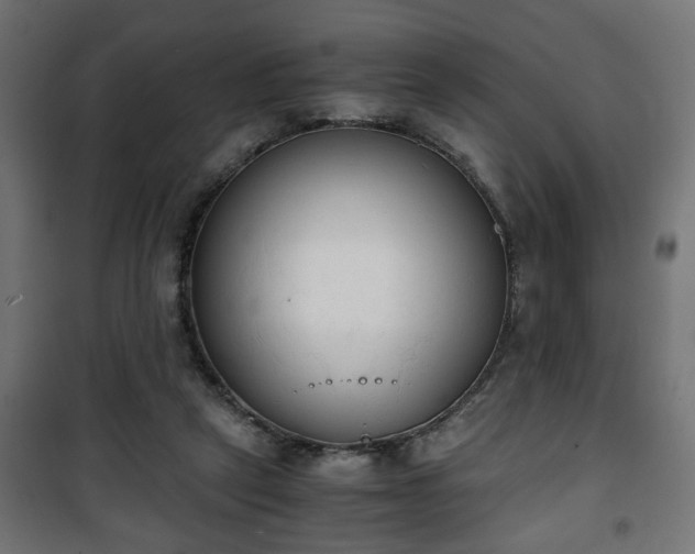 X0000101390257200807141140