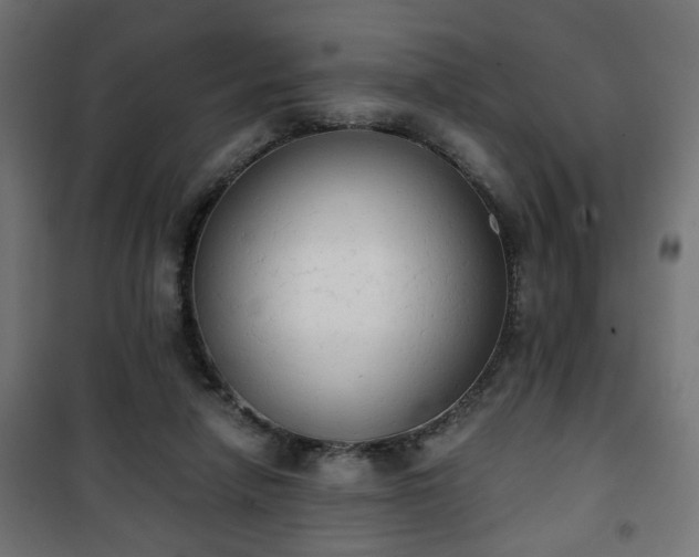 X0000101390258200807141140