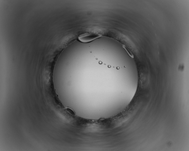 X0000101390259200807141140