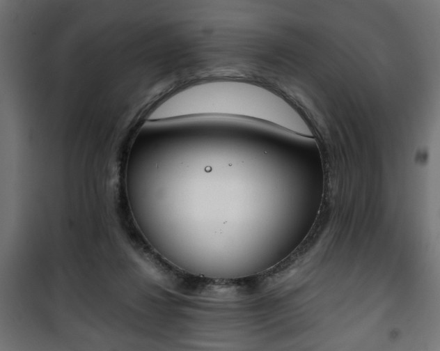 X0000101390260200807141140