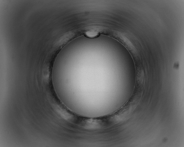 X0000101390261200807141140