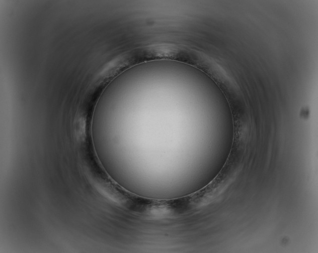 X0000101390262200807141140