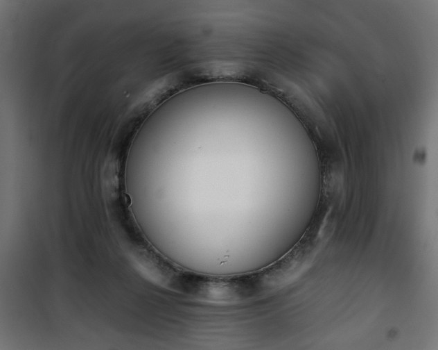 X0000101390264200807141140