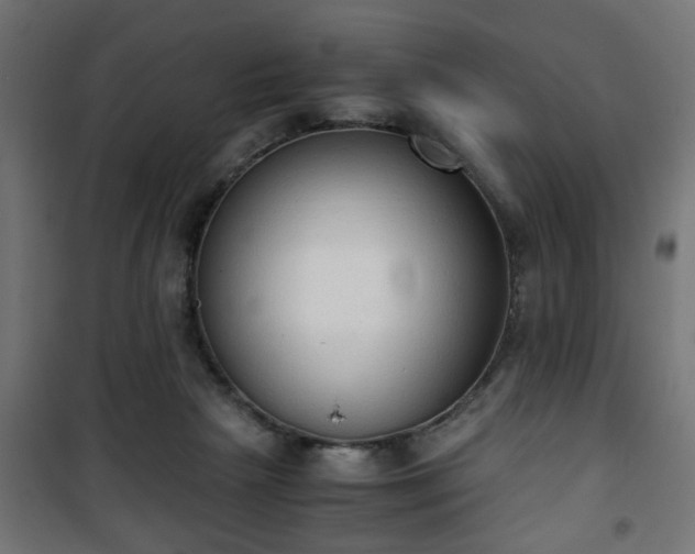 X0000101390265200807141140