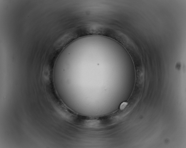 X0000101390266200807141140